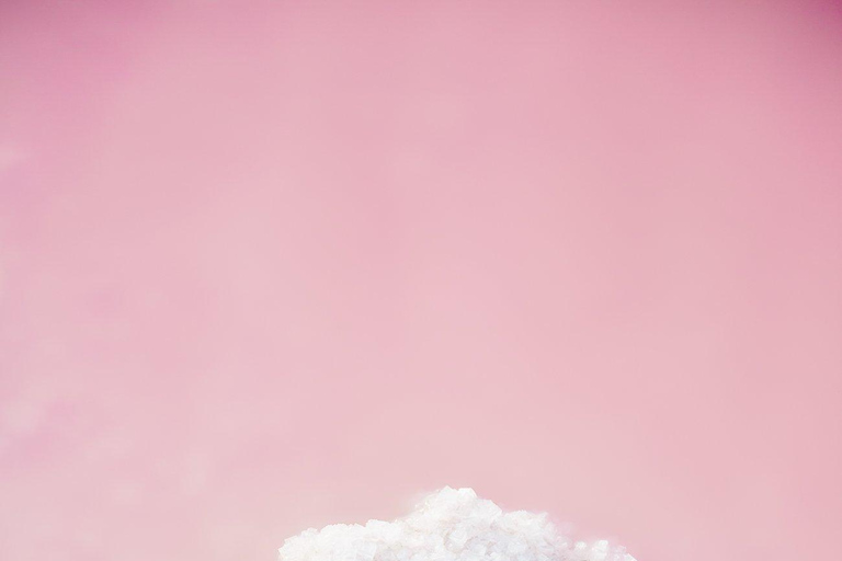 Rio Lagartos et Las Coloradas : EcoSafari Flamingo DeluxRio Lagartos et Las Coloradas : EcoSafari Flamingo Deluxe