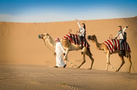 Doha, Safari, Camel Ride, Sandboarding and Inland Sea Tour - Housity