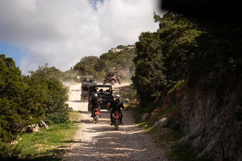 Paphos: Coral Bay and Akamas Forest Guided Quad & Buggy Tour 5-Hour Quad Bike Tour to Akamas Forest (Double Quad)