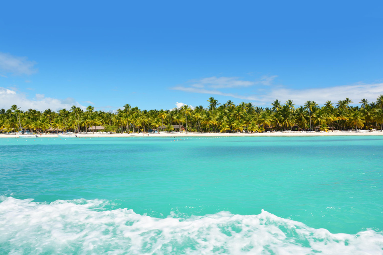 Private: Exclusive Saona Island VIP Speedboat Charter