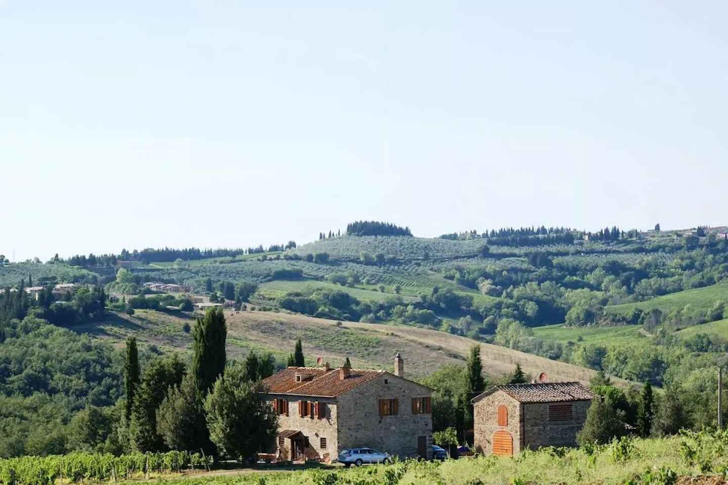 Chianti: Wine and Olive Oil Tasting with a Cellar Visit outside Florence - Chianti: Wine and Olive Oil Tasting with Cellar Visit outside Florence