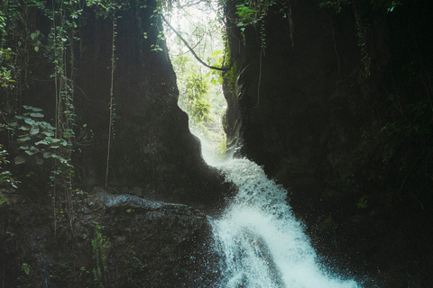 Arusha: Waterfall, Mountain Swing, Canoeing & Village Tour