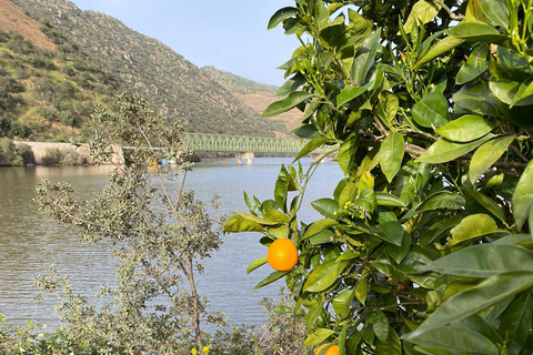 Porto to Douro Valley Private tour in a 4x4 like a native Privat tour Offroad Douro Valley