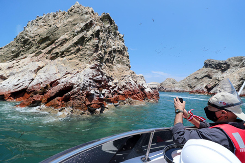 Excursão de dia inteiro saindo de Lima: Paracas, Ica e Huacachina