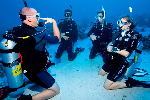 SALOU: Experiencia Descubre el Buceo