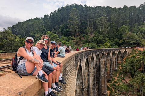 Nuwara Eliya → Tissamaharama Transfer with Sightseeing Stops