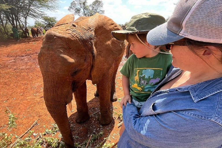 Parco nazionale di Nairobi, orfanotrofio degli elefanti e centro delle giraffeParco Nazionale di Nairobi, DSWT e Centro delle Giraffe senza ingresso