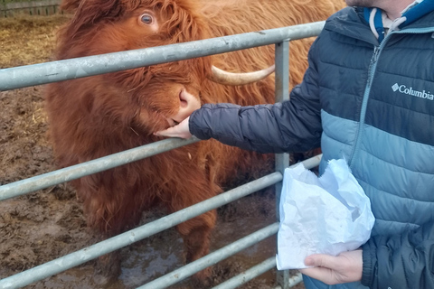 Edinburgh: 3-tägige geführte Tour zur Isle of Skye und in die Highlands