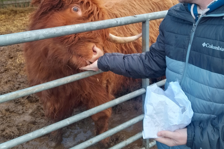 Edinburgh: 3-tägige geführte Tour zur Isle of Skye und in die Highlands