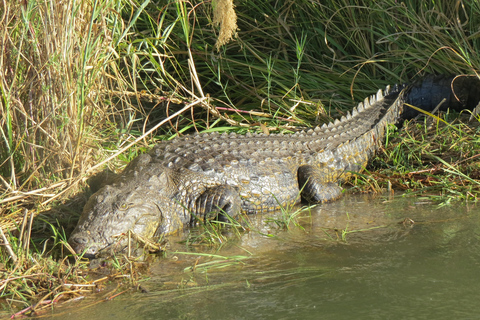 Victoria Falls & Chobe: 3-Day Safari with Cruise & Meals