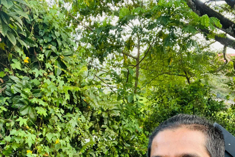 Talangama Wetlands Birdwatching & Local Village Experience