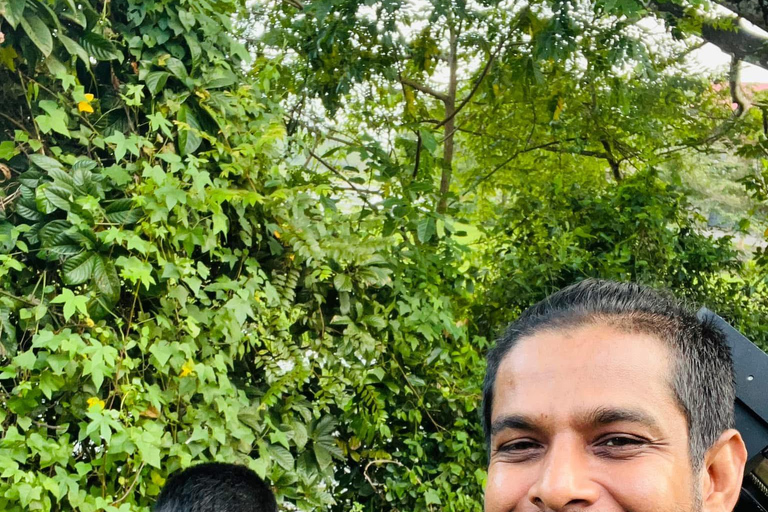 Talangama Wetlands Birdwatching & Local Village Experience