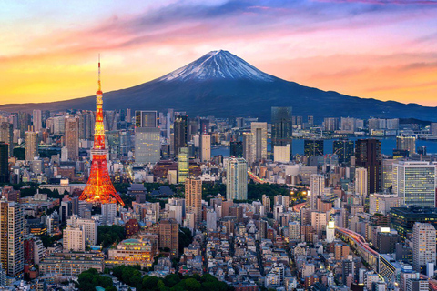 Tokyo: Discover The City Your Way Half-Day Private Sightseeing Ride in Tokyo