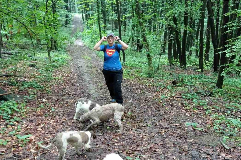 Circuit de chasse à la truffe, Serbie