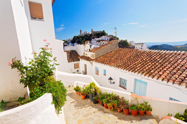 Wioska Casares i tradycyjny rynekCasares i mercadillo típico