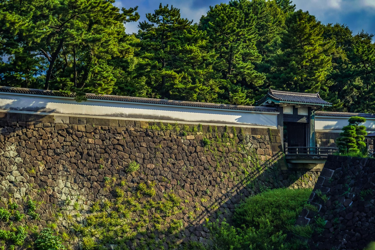 Tokyo : Visite des jardins de l'est du palais impérial par le Shogun