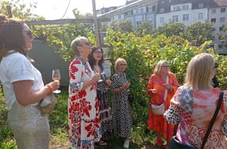 Köln: Weinmuseumstour, Verkostung und geführter Spaziergang
