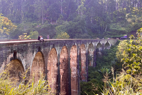 private tour guide in Sri lanka : 5 Days Tour Package