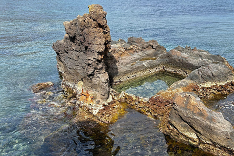 Ischia: Guided Snorkeling among Caves and Submerged Ruins