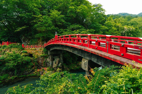 Tokyo: Nikko Luxury Private Day Tour with English guide