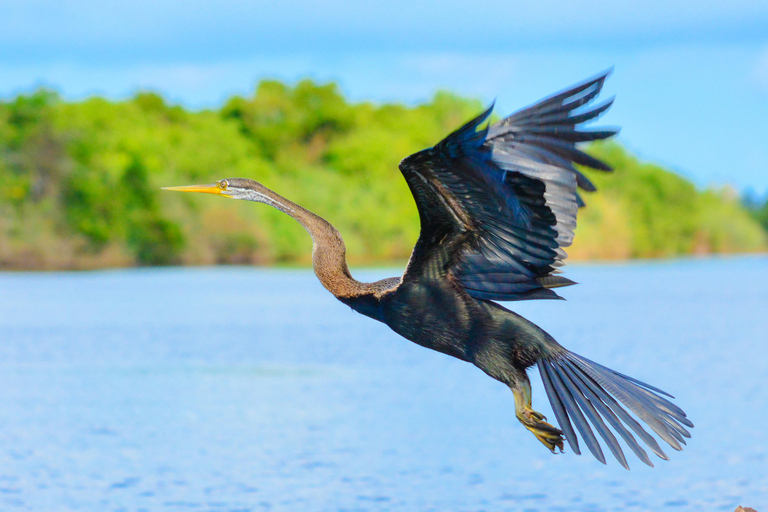 Negombo private city-Lagoon: Sunrise or Sunset Kayaking Tour