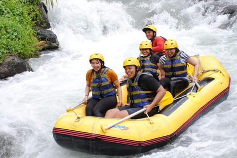 Sidemen Private Rafting: Telaga Waja River with LunchRAFTING only at Meeting Point