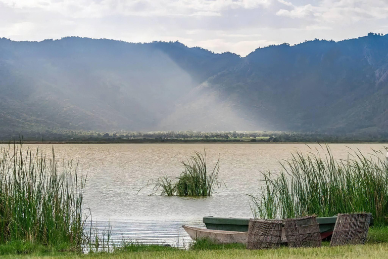 坦桑尼亚：从海岸到湖泊的 10 天社区野生动物之旅坦桑尼亚：从海岸到湖泊的 10 天社区之旅