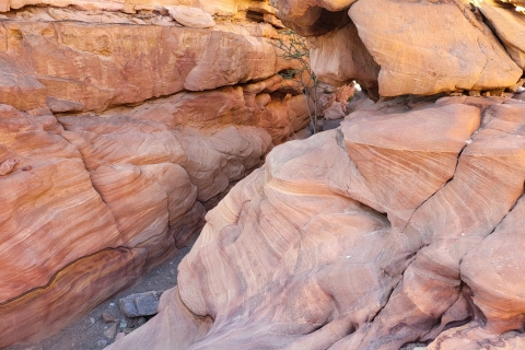 Desde Sharm: Excursión Privada al Cañón de Dahab, ATV, Camello y Almuerzo