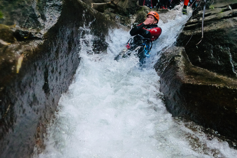 Madeira: Intermediate (Level 2) Canyoning Experience