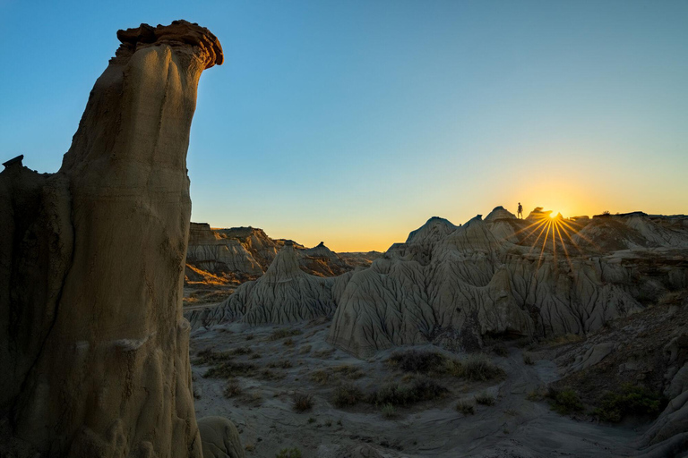 Banff : Visite privée des Badlands avec le musée Royal Tyrrell