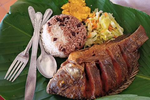 Cartagena: Tour da liberdade em San Basilio de Palenque