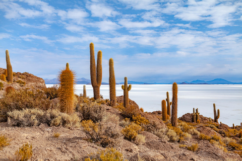 Excursión a Uyuni: Guía en español, desayuno, almuerzo y entradas