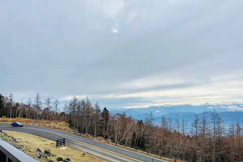 From Tokyo: Mt. Fuji or Hakone Private Sightseeing Day Trip Itinerary A: Mount Fuji