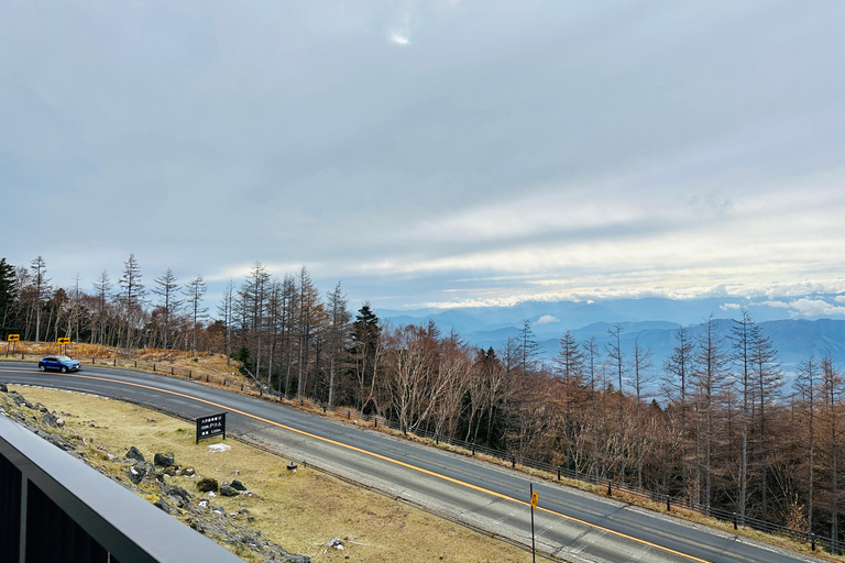 From Tokyo: Mt. Fuji or Hakone Private Sightseeing Day Trip Itinerary A: Mount Fuji