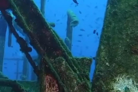 Kemer: Scuba Diving Experience in Aquarium and Kiris Bays Transfer service from the entire Kemer region