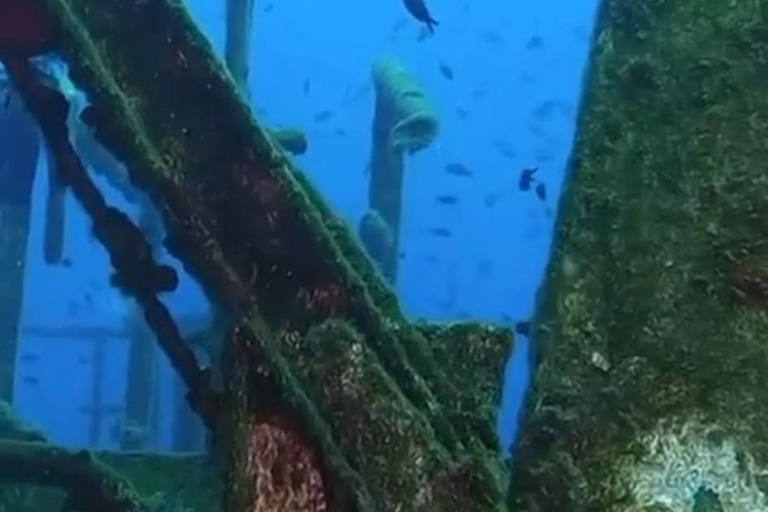 Kemer: Scuba Diving Experience in Aquarium and Kiris Bays Transfer service from the entire Kemer region