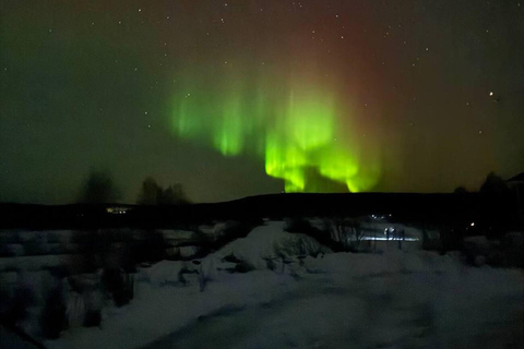 Northern Lights Tour with BBQ and Drinks