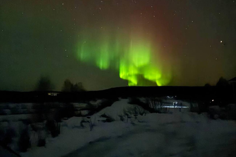 Northern Lights Tour with BBQ and Drinks