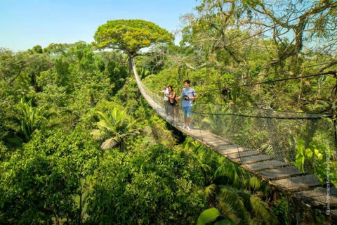 Puerto Maldonado: 3-Day Amazon Lodge Tour with Pool