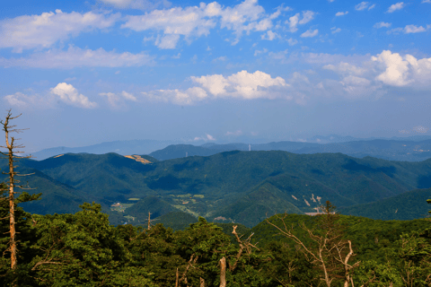 De Kuala Lumpur: Tour particular pelo Parque Nacional Taman Negara