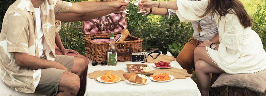 Lac de Garde : pique-nique dans les vignes avec dégustation de vins