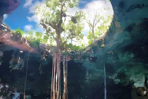 From Mérida: Tour 4 wonderful cenotes, All inclusive - 2026