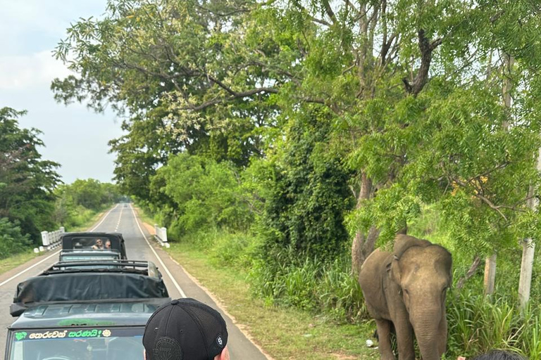 CMB/Negombo: Sigiriya, Kandy & Ella Private Tour with Driver Private Van with Driver – Up to 50 km