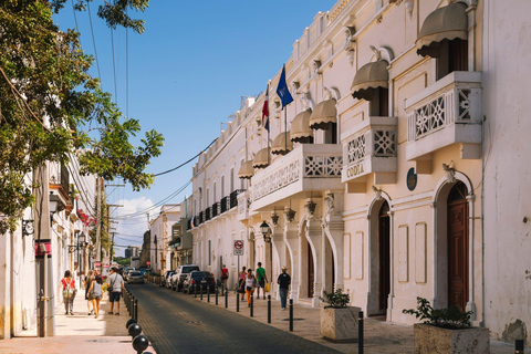 Tour de la ciudad colonial de Santo Domingo de día completo con almuerzo