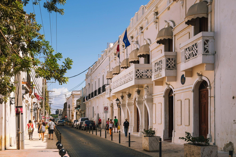 Tour de la ciudad colonial de Santo Domingo de día completo con almuerzo