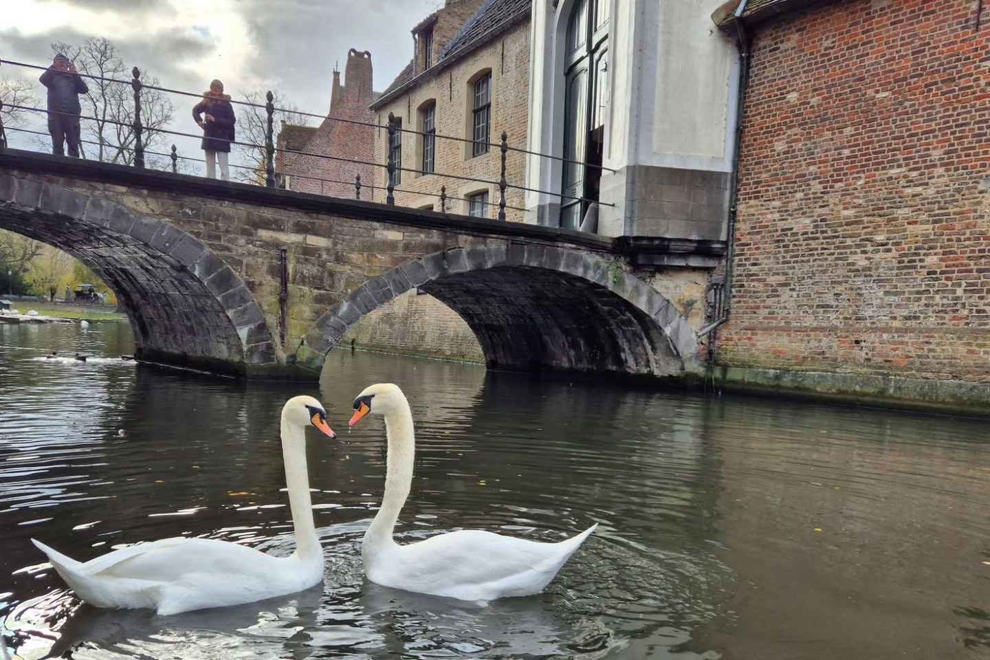 巴黎出发，一日游布鲁日（比利时）