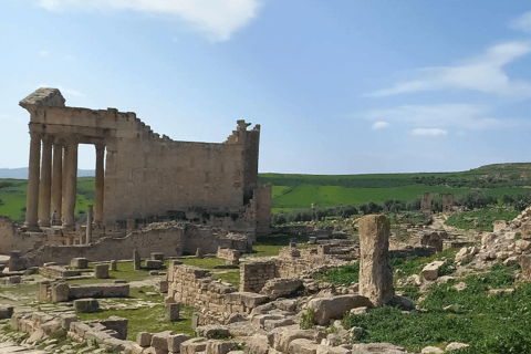 Tunis/Hammamet: Testour, Dougga, Bulla Regia, Beja with Lunch Included Driver only (without live guide or meals)