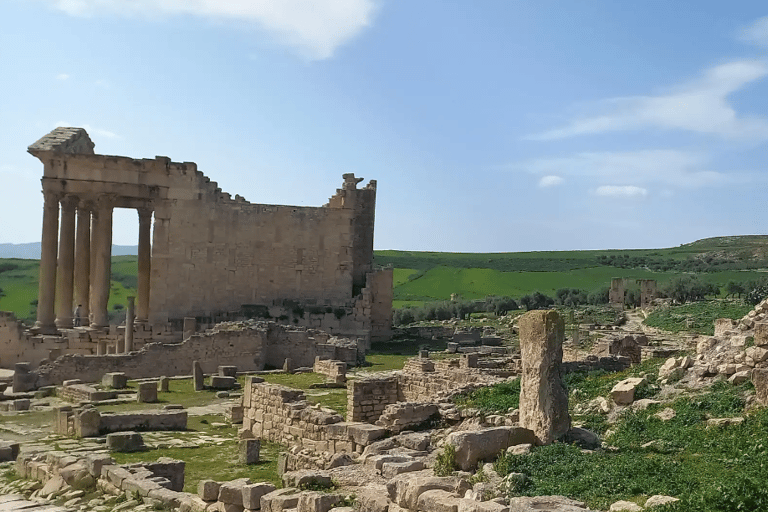 Tunis/Hammamet: Testour, Dougga, Bulla Regia, Beja with Lunch Included Driver only (without live guide or meals)