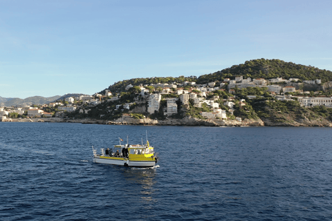 Nice: Snorkeling trip by boat, Mala Grotto, Villefranche harbor