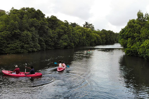 Negombo: Guided Kayaking Tour in the Lagoon